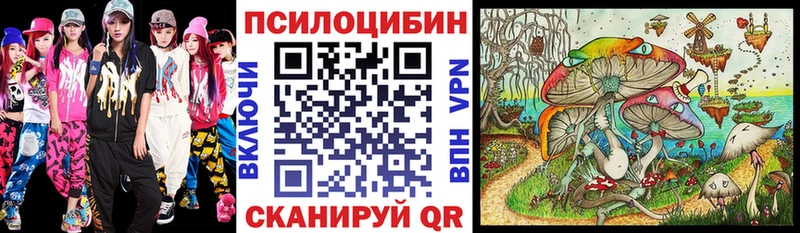 Галлюциногенные грибы Psilocybine cubensis  Устюжна 