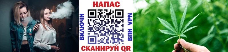 купить   Устюжна  Канабис сатива 